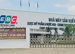 Vụ chồng Đoàn Di Băng làm sếp công ty bán hàng giả: Đối mặt hình phạt nào?