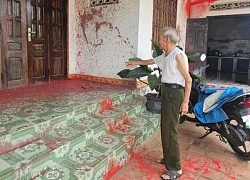 Vụ nhóm người đi ô tô, đập nát quán phở: Bắt giữ 5 đối tượng lẩn trốn tại TPHCM