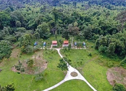 2N1Đ đạp xe dạo quanh Vườn quốc gia Cát Tiên gọi tên từng gốc cây đại thụ quý hiếm