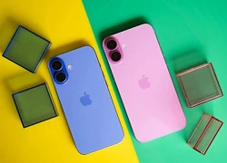 Apple rơi vào thế khó