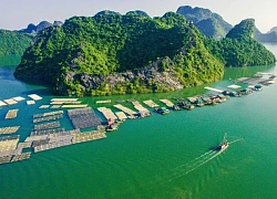 Cầm 1 triệu chinh phục lịch trình Cát Bà 3N2Đ, xuất phát từ Hà Nội