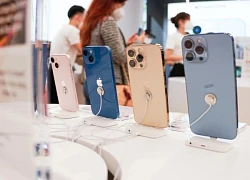 Giá iPhone cũ giảm tiền triệu tại Việt Nam