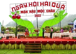 Tham gia 'Ngày hội hái quả' độc đáo ở thung lũng mận Nà Ka