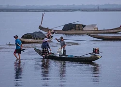 Bức tranh thanh bình trên phá Tam Giang
