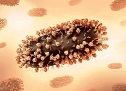 Virus RSV lây lan như thế nào?