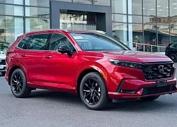 Bảng giá ôtô Honda tháng 5/2025: Giảm giá mạnh