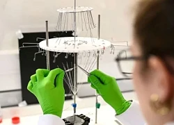 EU tích cực 'chiêu hiền, đãi sĩ' từ Mỹ