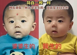 Gen nhà nội quá mạnh: 3 thế hệ giống hệt nhau như anh em sinh ba