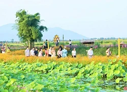 Hàng nghìn du khách chọn du lịch trải nghiệm thôn quê tại TP Hà Tĩnh