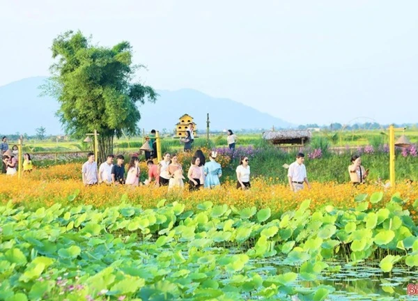 Hàng nghìn du khách chọn du lịch trải nghiệm thôn quê tại TP Hà Tĩnh