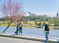 Lượng khách đến Măng Đen, Đà Lạt 'nhích nhẹ' dịp 30/4