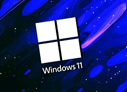 Lưu ý khi cập nhật Windows 11 24H2