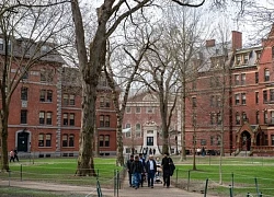 Ông Trump dọa tước quyền miễn thuế, Đại học Harvard phản pháo