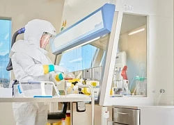 Mỹ hạn chế tài trợ lĩnh vực nghiên cứu gây tranh cãi liên quan virus gây Covid-19