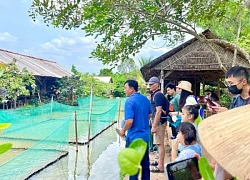 Nghỉ lễ dài nhưng nhiều cơ sở lưu trú ở miền Tây lại 'trầm lắng'