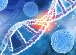 Người mẹ 2 lần mất con vì mang gene bệnh di truyền mà không hay biết