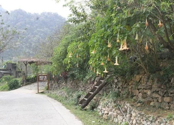 Pà Cò, Hang Kia (Hòa Bình): Biến 'điểm nóng' ma túy thành 'điểm sáng' du lịch