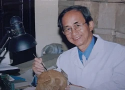 PGS.TS, nhạc sĩ Nguyễn Lân Cường qua đời ở tuổi 84