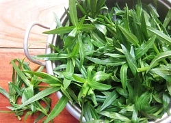 Rau ngổ có tác dụng gì với sức khỏe?