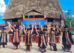 Rực rỡ sắc màu địa lan tại làng du lịch cộng đồng Vi Rơ Ngheo