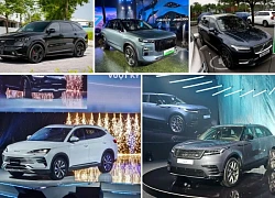 Tranh cãi gay gắt: Không sạc xe hybrid PHEV, gây 'tội ác' kỹ thuật nghiêm trọng