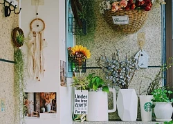 Từ ban công lụp xụp 3m đến khu vườn xanh mát mắt: Biến hóa tuyệt vời khiến ai cũng ngỡ ngàng và ao ước