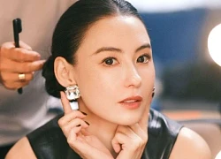 Từng là "nàng thơ cuối cùng của showbiz Hong Kong": Vì đâu Trương Bá Chi một tay đánh mất tất cả?
