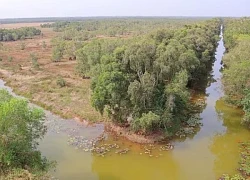 Vườn Quốc gia Tràm Chim chủ động phòng, chống cháy rừng mùa khô