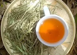 5 bài thuốc chữa bệnh quý từ loài cỏ dại ven đường