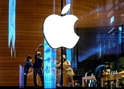 Apple kháng cáo án phạt 500 triệu euro của EU