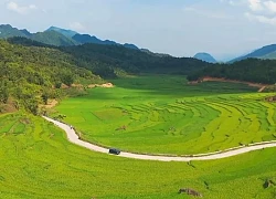 Say đắm sắc xanh mùa lúa non ở Pù Luông