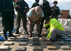 Colombia đẩy mạnh chiến dịch triệt phá băng nhóm buôn bán ma túy