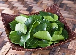 Đừng chỉ ăn quả, lá loại cây này quý như 'nhân sâm người nghèo' ở quê mọc um tùm