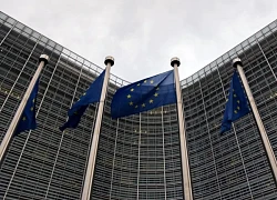 EU ra cảnh báo cứng rắn nếu đàm phán với Mỹ thất bại