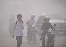 Gia tăng bệnh lý do ô nhiễm không khí