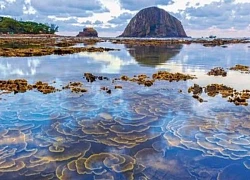 Tiềm năng và triển vọng du lịch trên vùng đất Tuy An