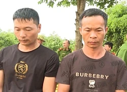 Hai người Trung Quốc xâm hại lăng mộ vua Lê Túc Tông khai gì?