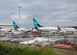 Hãng hàng không lớn thứ hai của Canada tạm dừng nhiều tuyến bay đến Mỹ