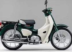 Honda Super Cub 110 2025 'ăn xăng như ngửi', có thêm bản chuyên cho shipper