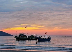 Khám phá chợ hải sản trên bãi biển Đà Nẵng lúc bình minh