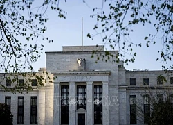 Lý do Fed đi ngược lại với nhiều ngân hàng trung ương khác về lãi suất