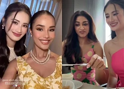 Miss World 2025: Ý Nhi bè phái, nịnh 1 nàng hậu, tiếng Anh dở tệ?