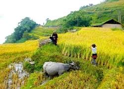 Ngẩn ngơ trước ba tuyệt sắc vùng biên