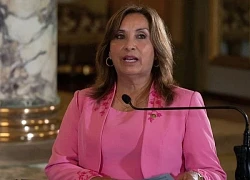 Peru đình chỉ hoạt động khai thác vàng sau thảm kịch 13 người chết