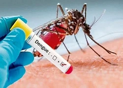 Sốt xuất huyết đang vào mùa, cần chủ động phòng bệnh