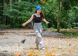 Trải nghiệm mùa bướm cực 'chill' ở Cúc Phương