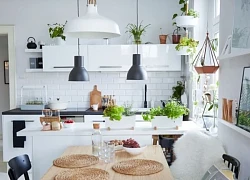 Từ tuổi 40, tôi bắt đầu tiêu tiền theo "vòng đời món đồ": Cách mua sắm này giúp tôi tiết kiệm mà không cần thắt lưng buộc bụng