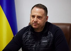 Ukraine sẵn sàng đàm phán hòa bình chấm dứt xung đột