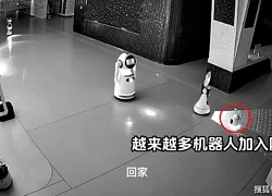 Video sốc: Robot nổi loạn, lao vào tấn công kỹ sư vận hành để "đòi tự do"