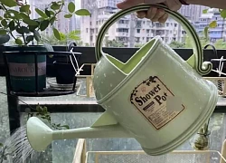 12 thói quen tưởng siêng năng nhưng lại khiến nhà cửa ngày càng bừa bộn